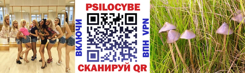 Галлюциногенные грибы Cubensis  Верхняя Тура 